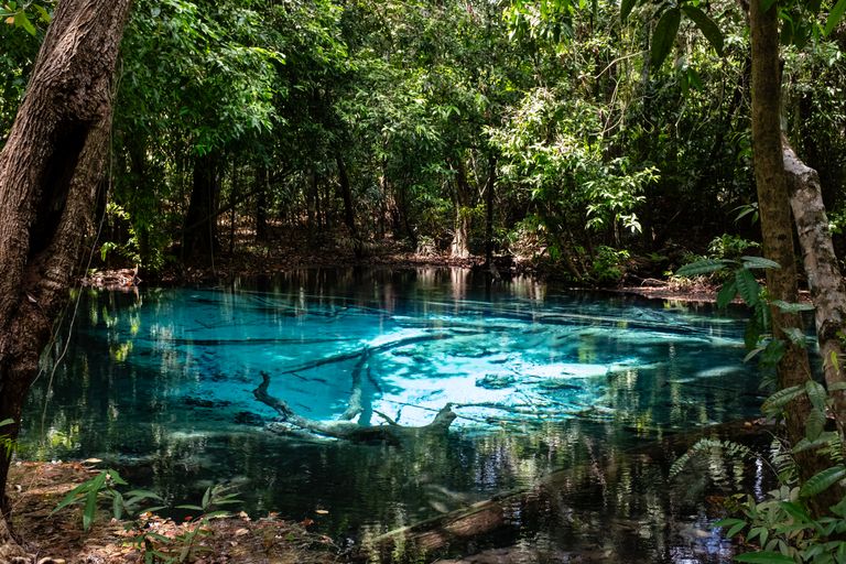 Emeralad Pool Krabi | Blue Pool