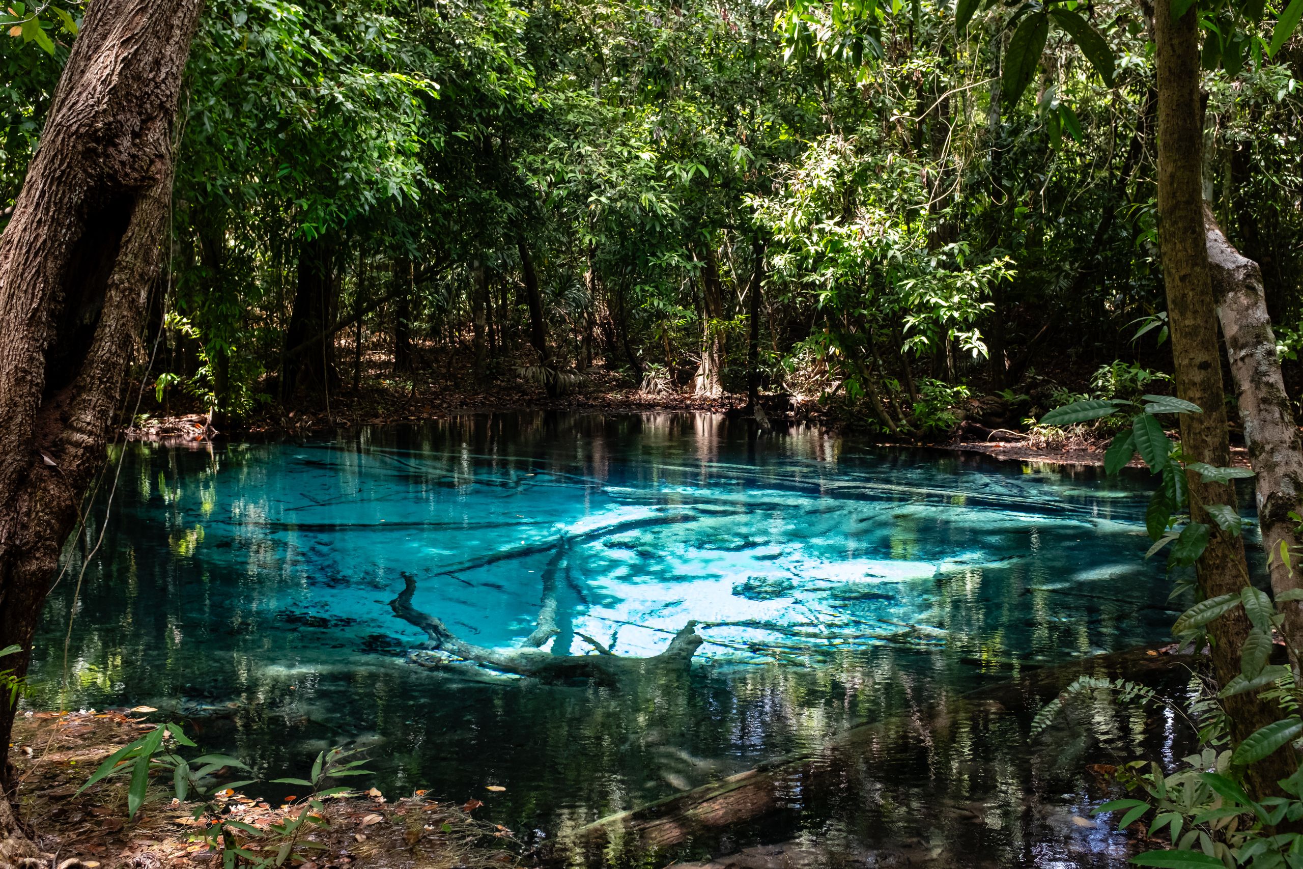 Emeralad Pool Krabi | Blue Pool